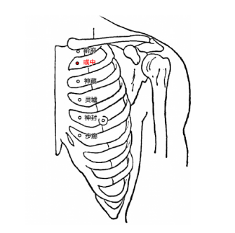 中医探秘彧中穴的准确位置及其功效与作用！