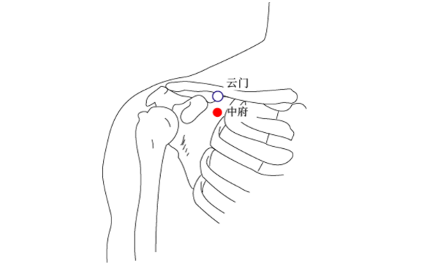 云门穴图片