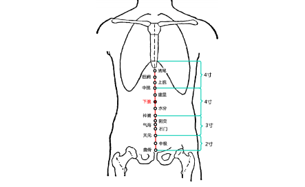 下脘穴图片