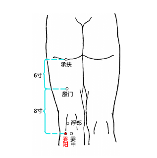 委阳穴疼痛是什么原因引起的？委阳穴的准确位置及其功效与作用！