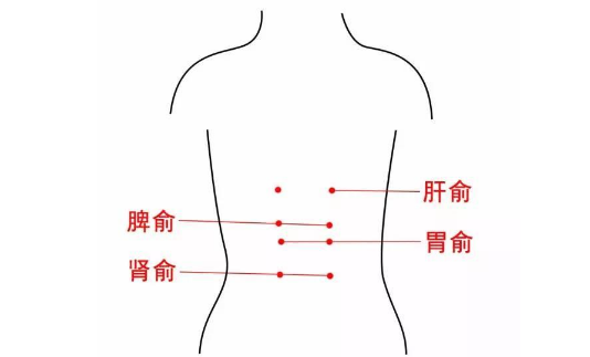 胃俞穴位置