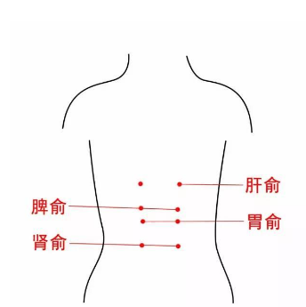 中医教你正确定位胃俞穴的准确位置及其功效与按摩方法！