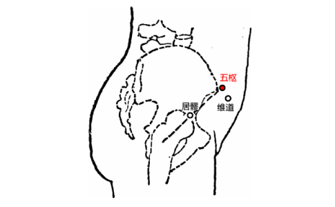 五枢穴位置