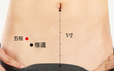 五枢穴的功效与作用
