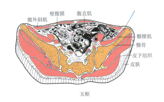 五枢穴的按摩方法