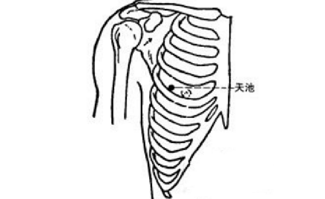 天池穴位置