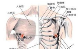 天池穴主治疾病