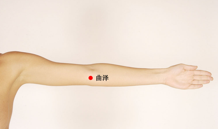 曲泽穴的位置