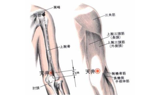 天井穴主治疾病