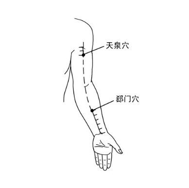 天泉穴疼痛怎么办？中医教你正确定位天泉穴的准确位置！