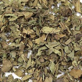 紫珠叶的正确区分方法及紫珠叶药方应用!