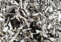 柴胡：疏肝理气的经典中药材，这些妙用值得了